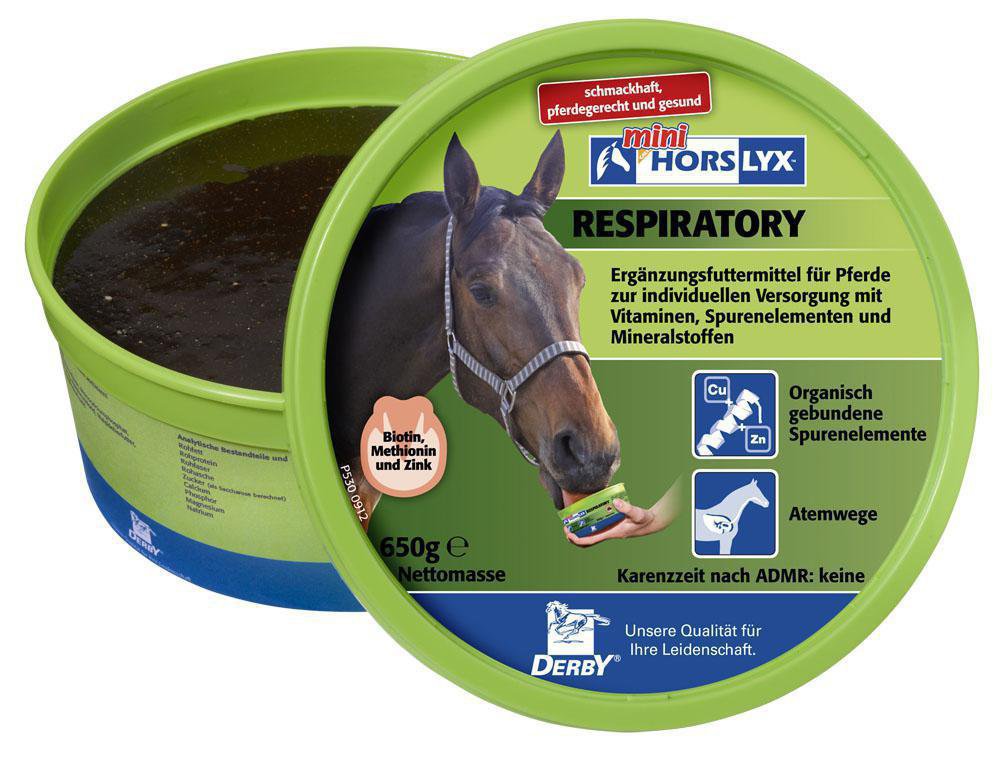Horslyx Mini Respiratory 650 g – ein Leckstein zur Unterstützung der Atemwege von Pferden-Atmungssystem PFIFF-101828