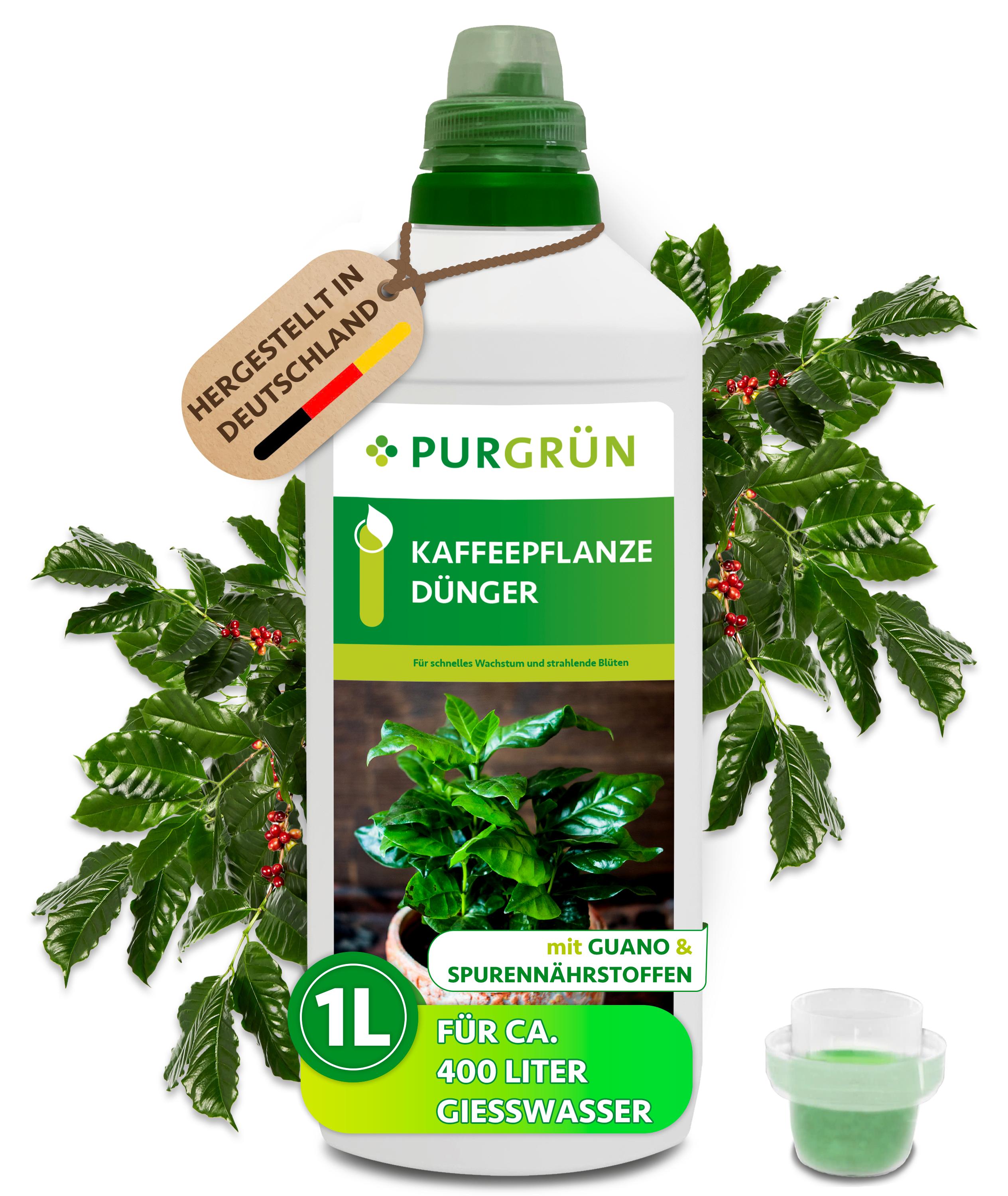 Purgrün Kaffeepflanze-Dünger 1 Liter 80525-31