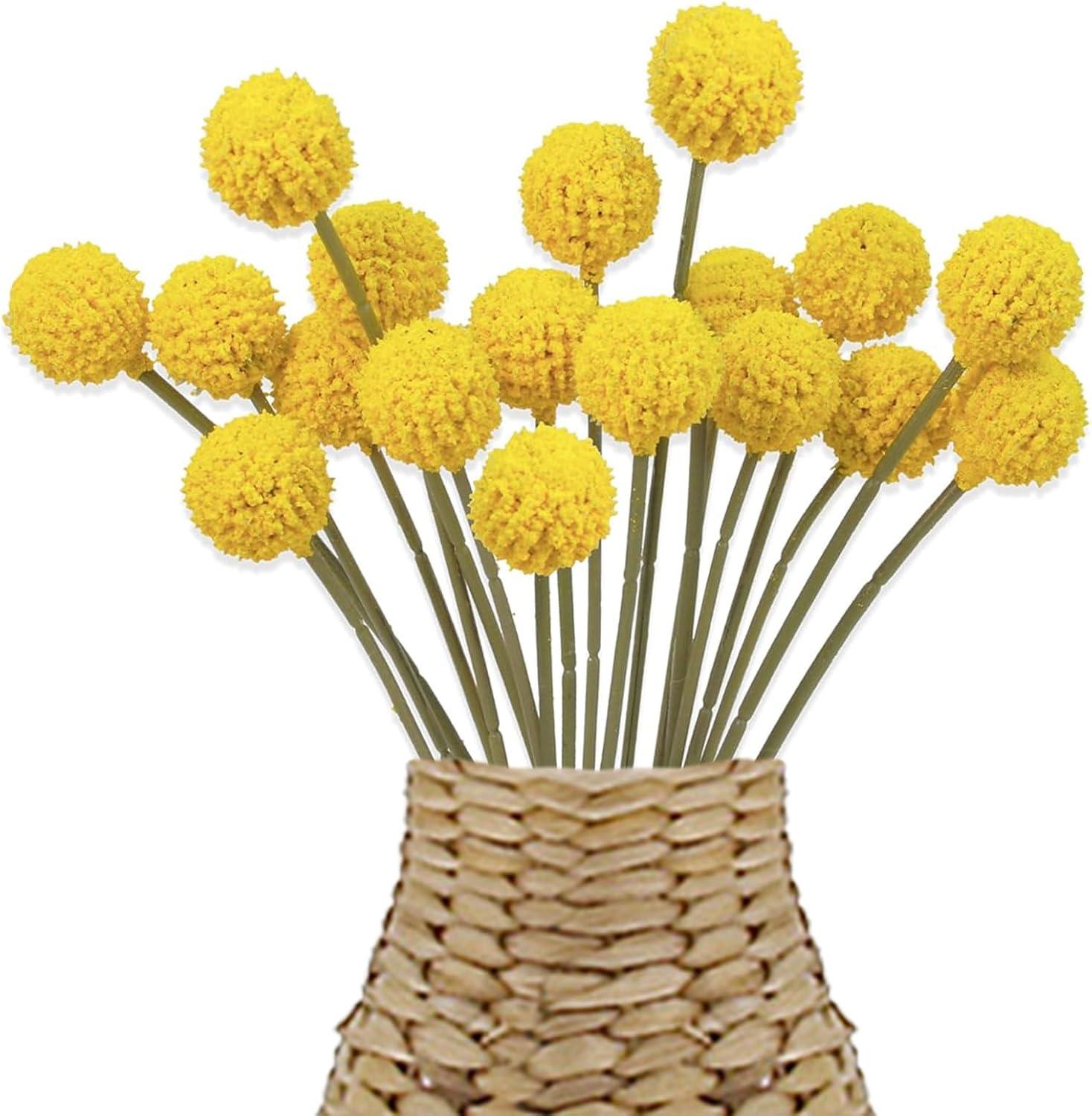 Markenlos 18 Stück Trockenblumen, getrocknete Blumen, Kunstblumen, natürliche Blumen, getrocknete dekorative Blumen, Kunstballblumen, für Blumenarrangements, Hochzeit, Zuhause, hohe Vase