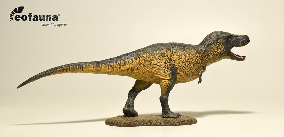 Eofauna FIG 009 Tyrannosaurus Sue 30 cm 1:35 Welt der Dinosaurier