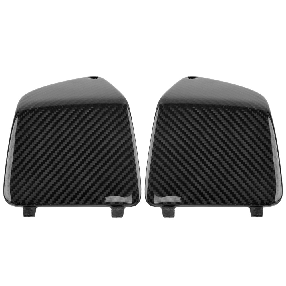 LTP Carbon Gepäckfachblenden Set für Vespa RF27293