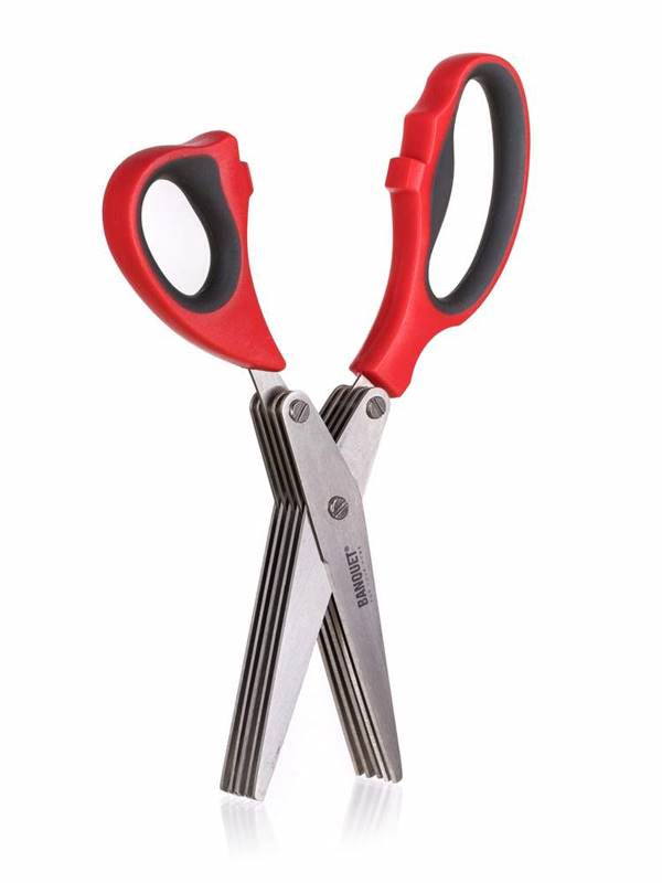 Banquet BANKETT Schere für Kräuter KULINARISCH 21cm, rot