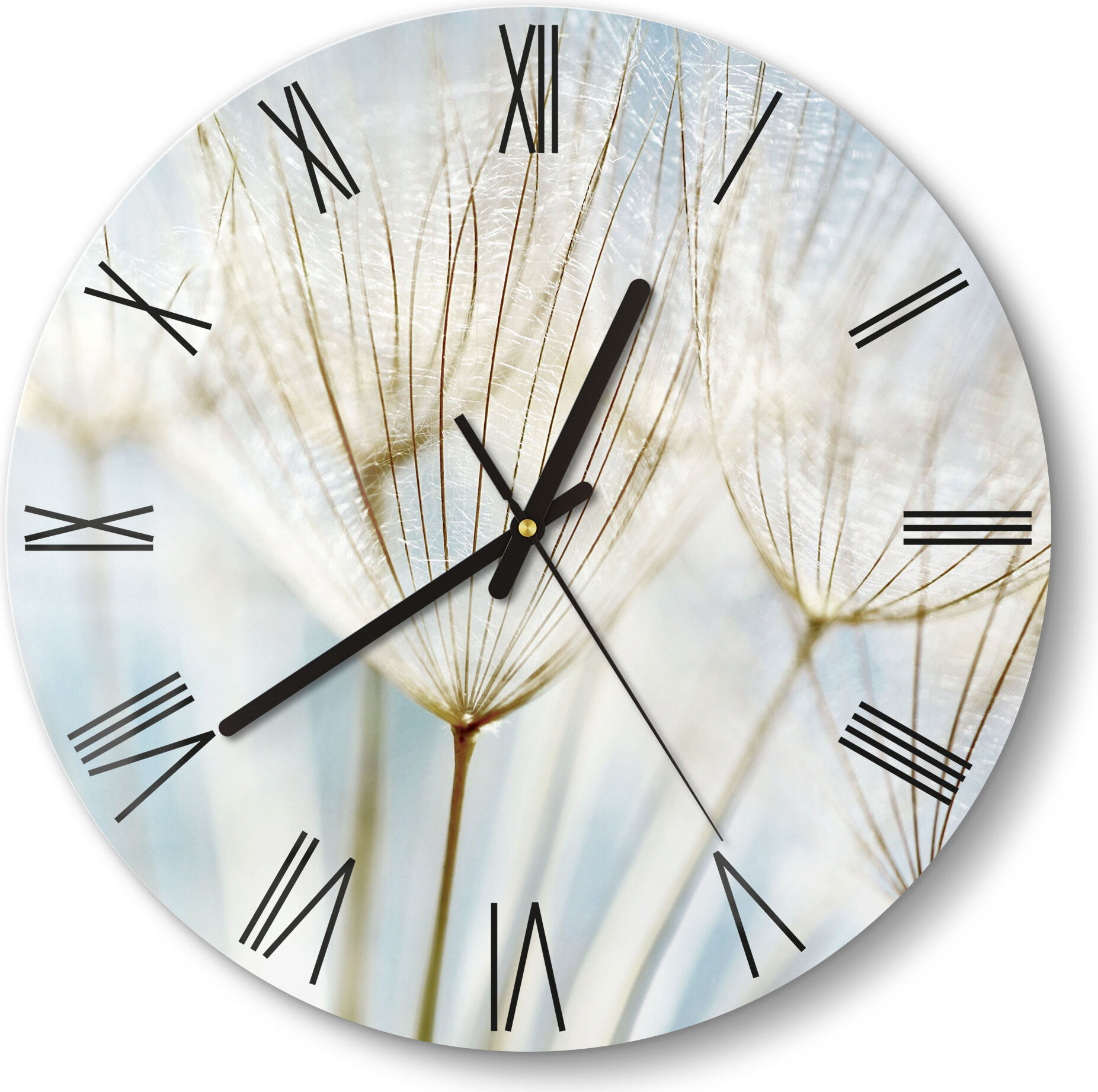 DEQORI Glasuhr Ø30 cm Römisch 'Löwenzahnsamen nah' Wanduhr Glas Uhr Design leise WC-D30-R-2447