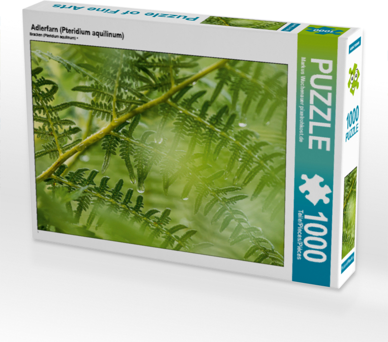 CALVENDO Puzzle Adlerfarn (Pteridium aquilinum) | 1000 Teile Lege-Größe 64x48cm Foto-Puzzle für glückliche Stunden