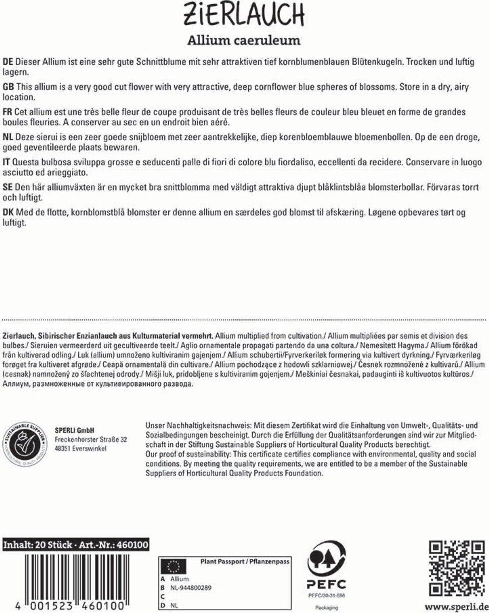 Sperli GmbH Zierlauch blau (20 Stück) | Zierlauchzwiebeln von Sperli 460100
