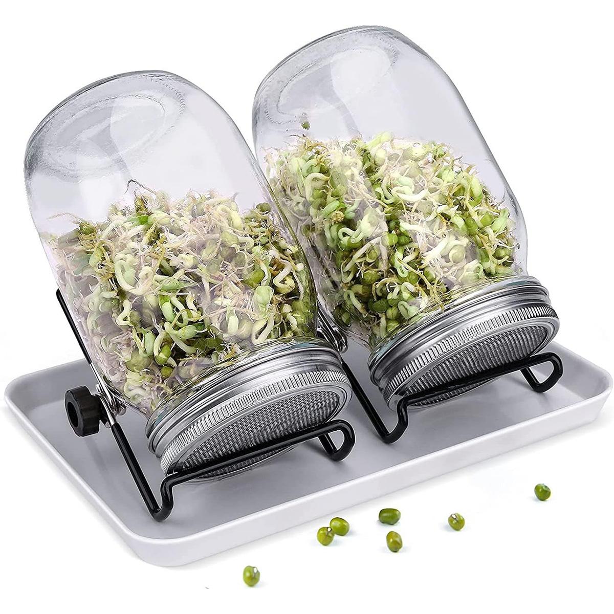 Dopwii Sprossenglas Set, 2er-Set 1000ml Keimglas mit Deckeln und Haltern und Schalen, Sprossengläser für die Sprossenzucht und Keimung von Samen KAUF-WOHN-GA536-020