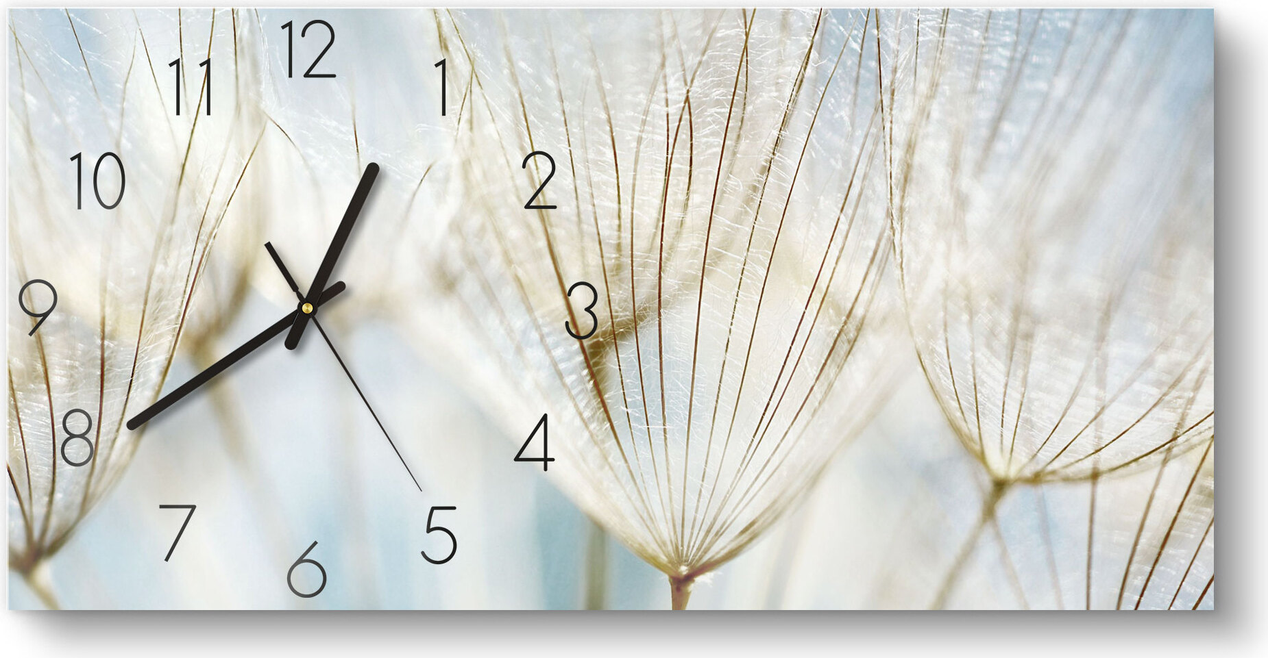 DEQORI Glasuhr 60x30 cm Zahlen 'Löwenzahnsamen nah' Wanduhr Glas Uhr Design leise WC-60-30-N-2447