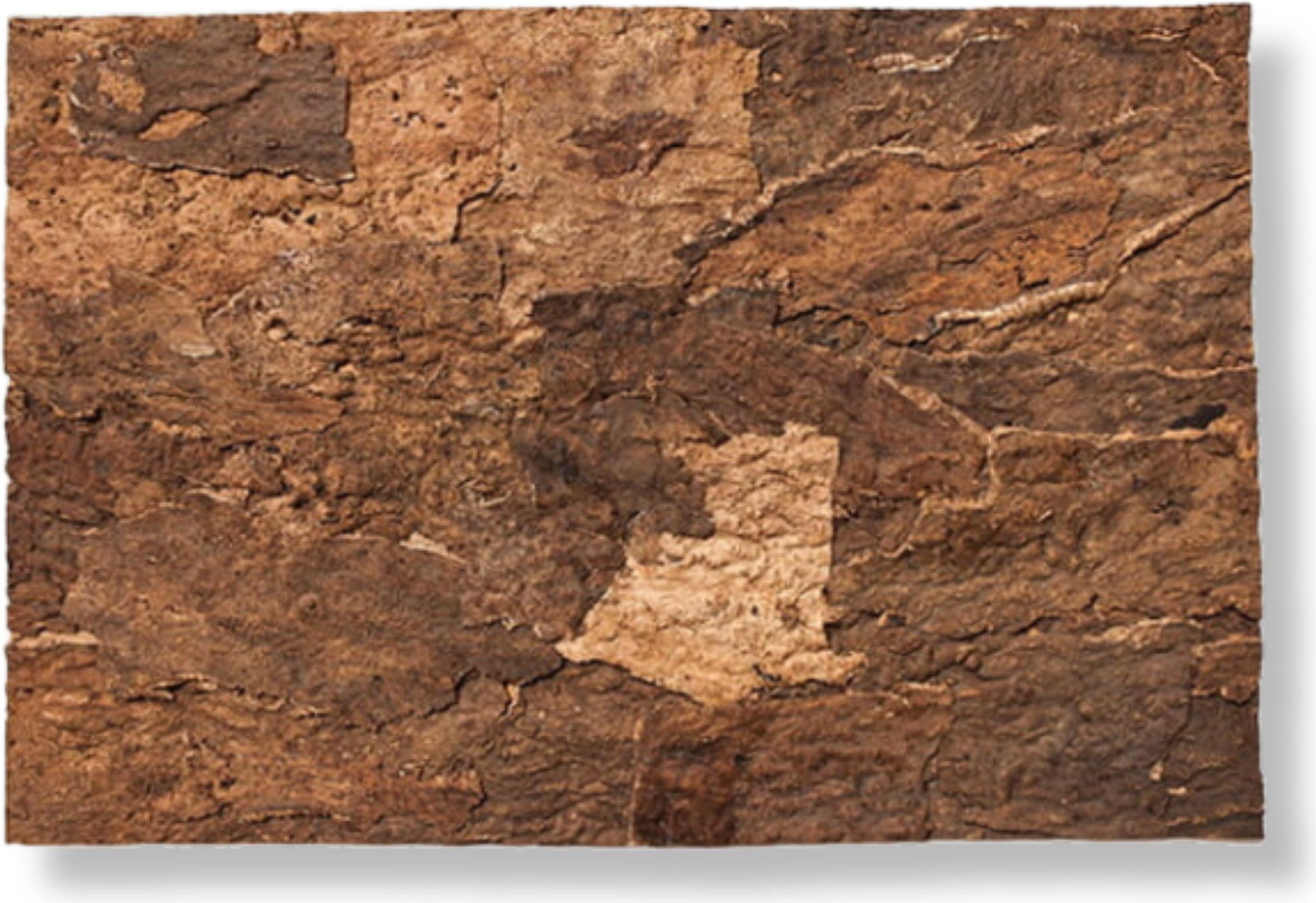 Bioterra BioVirgin Cork Background Brown 60x30cm Korkrückwand für Terrarien