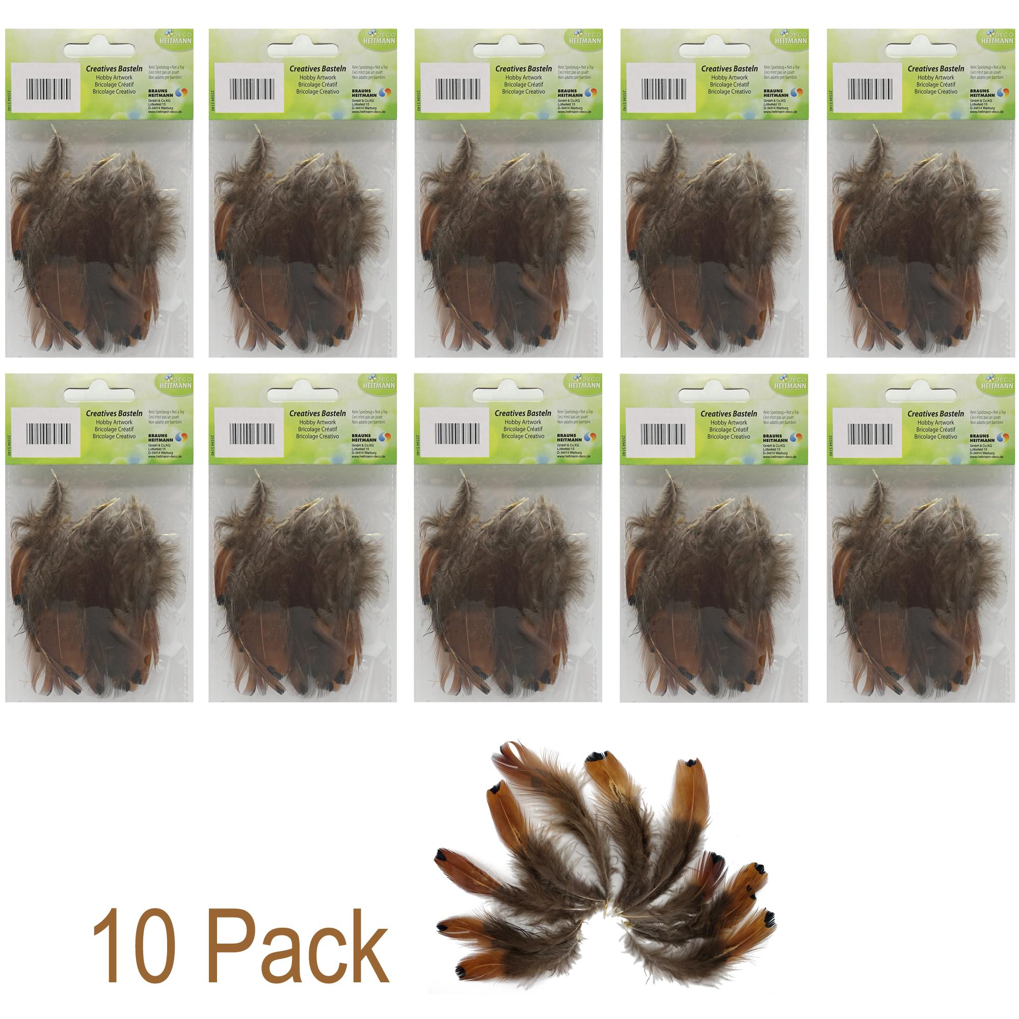 Deko Federn (Braun & schwarze Spitzen) Heitmann 25594-5140 (!! 10Pack !!) (B)