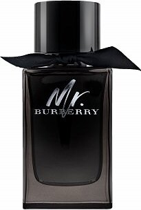 Burberry Mr. Burberry parfémovaná voda pre mužov 150 ml
