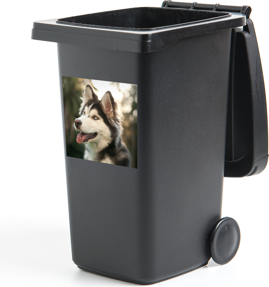 MuchoWow® Mülltonnenaufkleber Husky im Park 40x40 cm - Abfall-Aufkleber - Container - für Abfallcontainer 187|328331239