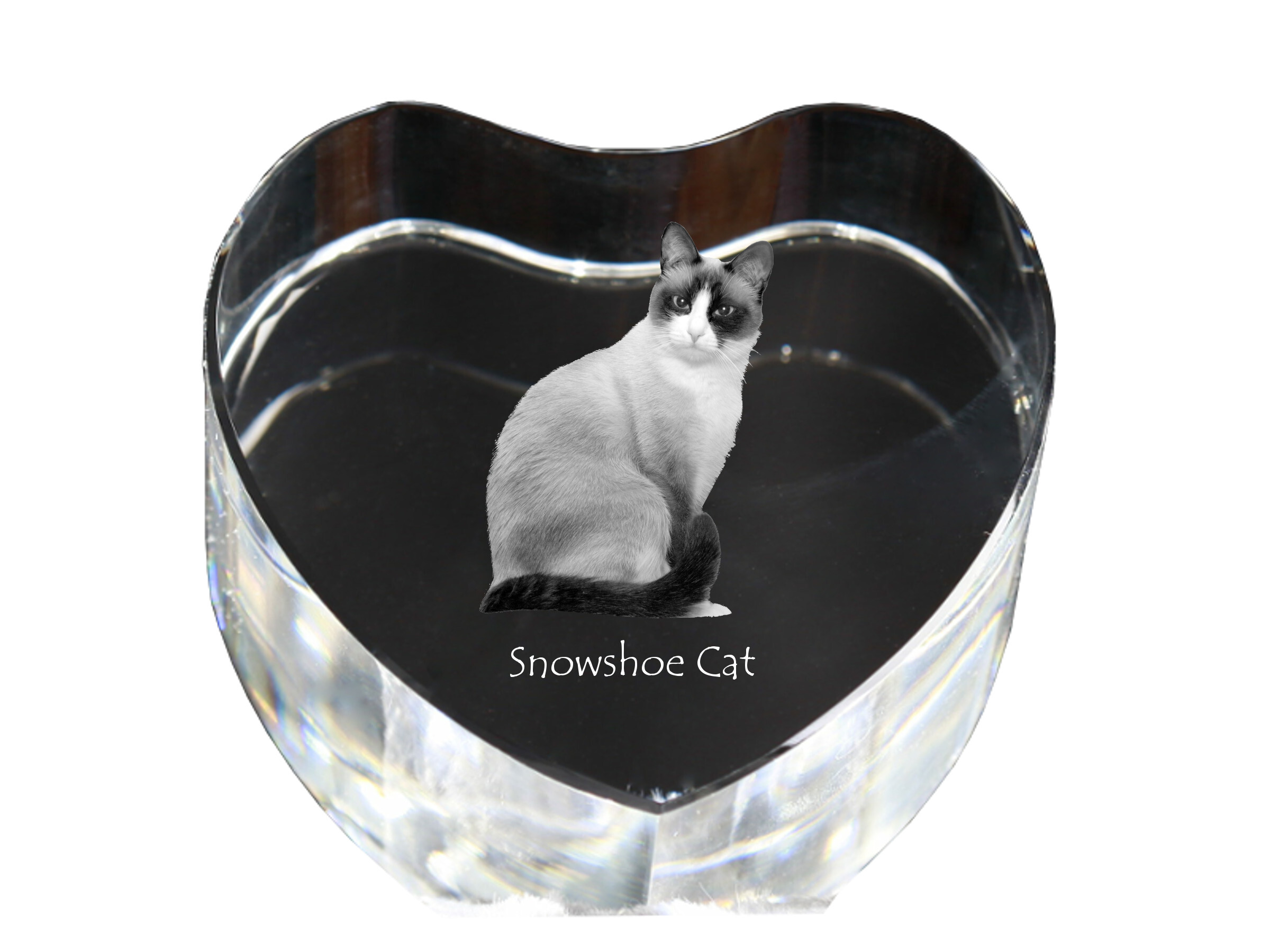 Schneeschuh-Katze - Kristalluhr mit Katzenbild, Herzregal-Uhr, personalisierte Standuhr von Art-Dog.