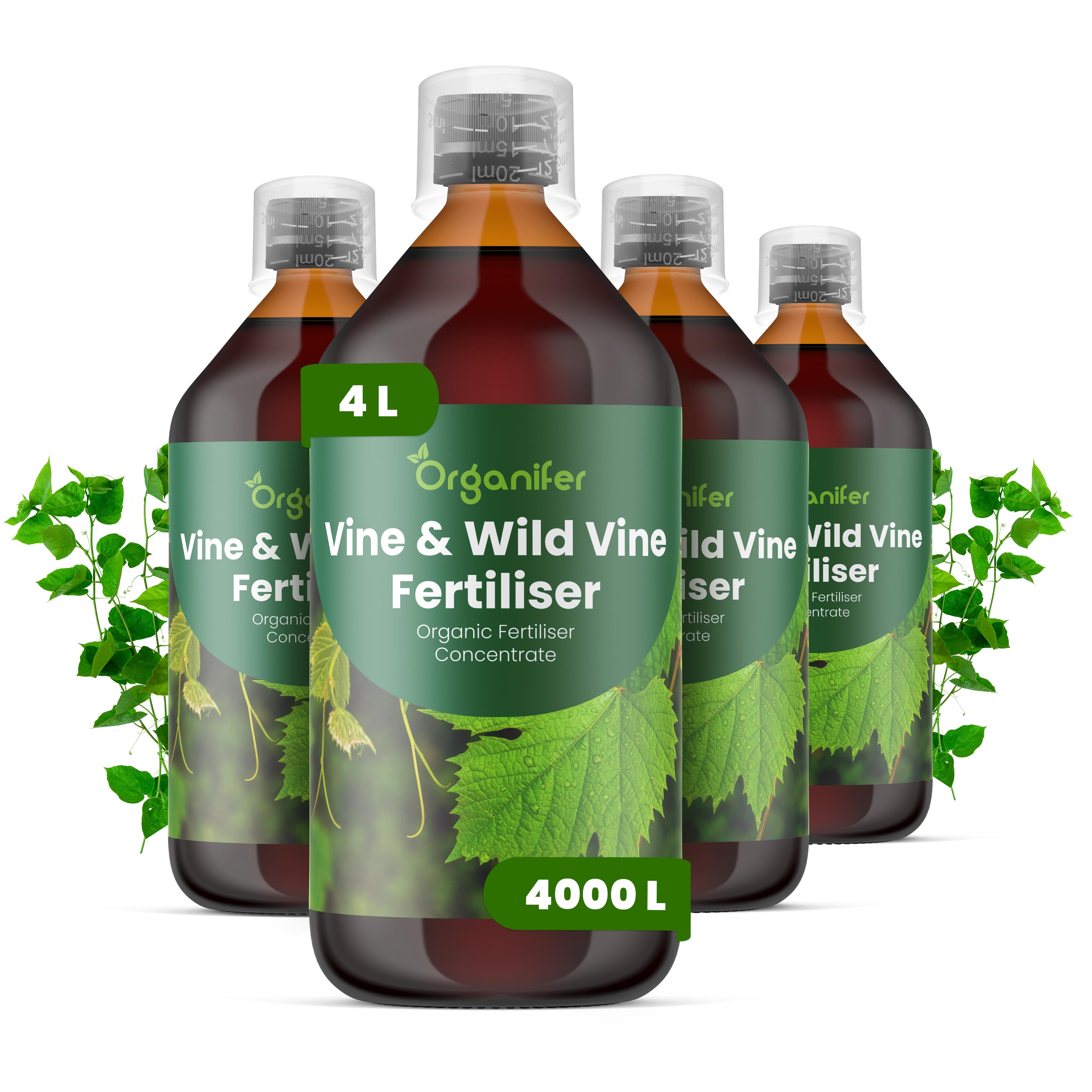 Flüssigdünger Für Weinreben 4x1L – 2-1-8 NPK – Flüssig-Pflanzendünger Für Weinreben – Organifer 326417