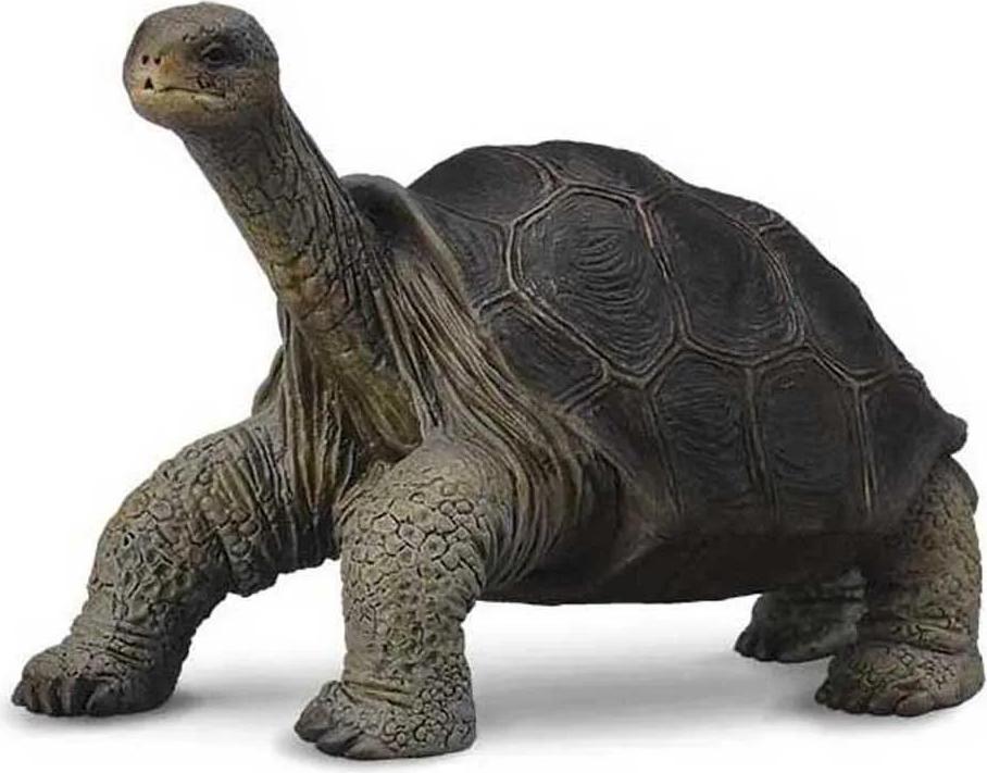 Mac Toys Riesenschildkröte 90188619