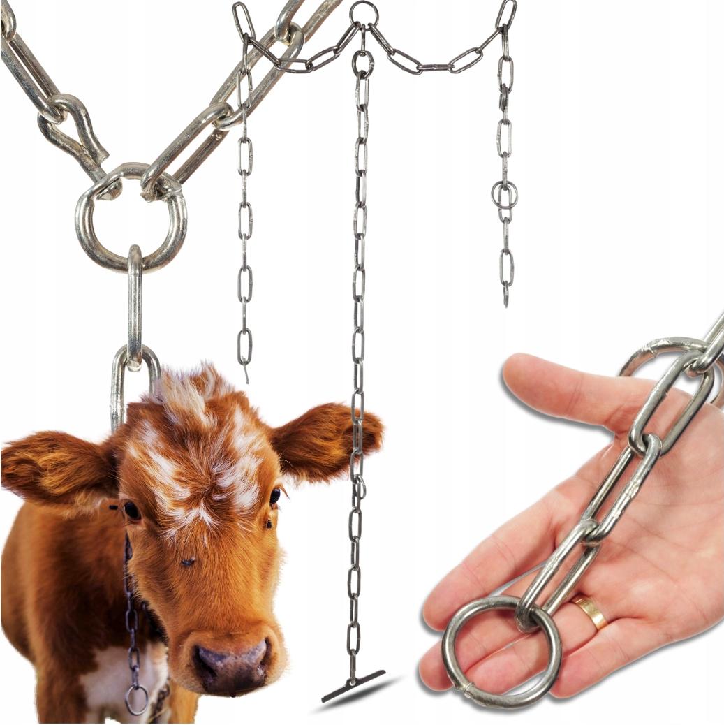 Z_P_H_JAN Rinderkette - 5 Mm - Hohe Zugfestigkeit 1700 Kg - Landwirtschaft - 65 Cm