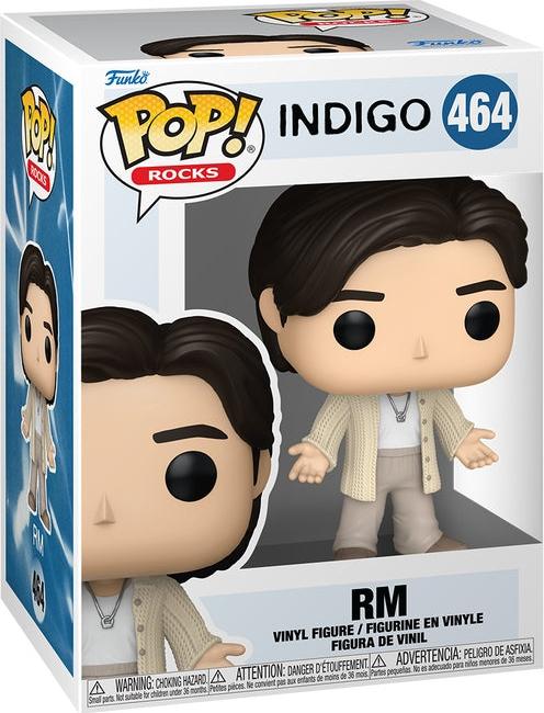 BTS RM Wildflower Funko Pop Vinyl Figur Sammlerstück