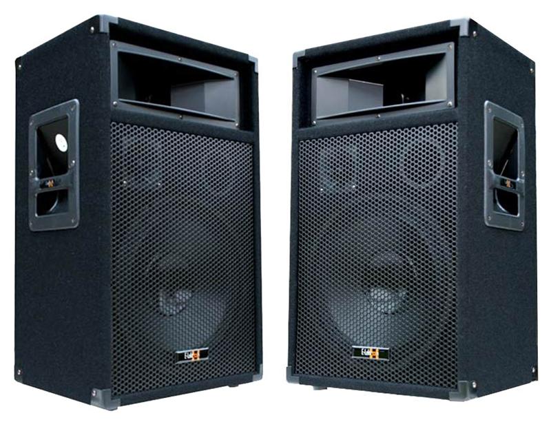 E-Lektron PW30 DJ PA Disco Party Lautsprecher Paar passiv EL279767