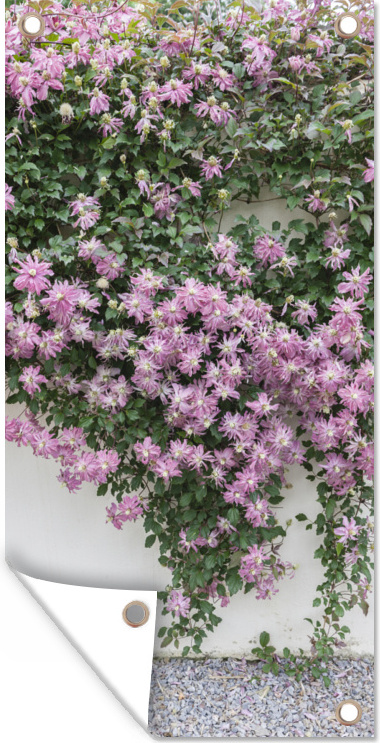 MuchoWow® 40x80 cm Outdoor-Poster Gartendeko Sichtschutz Garten Poster für den Garten Schlingpflanze mit rosa Blüten 133|331749741