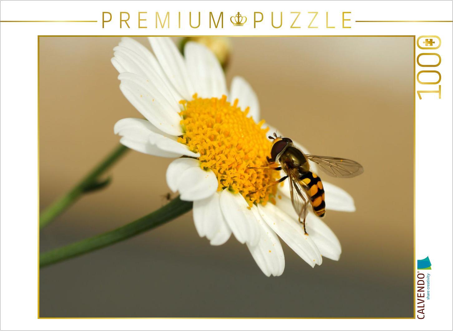 CALVENDO Puzzle Schwebfliege | 1000 Teile Lege-Größe 64x48cm Foto-Puzzle für glückliche Stunden