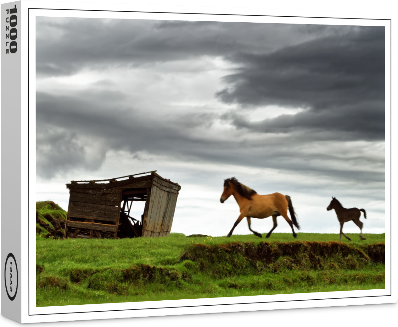raxxa Premium-Puzzle "Islandpferde", 1000 Teile 1-14270-6982-218