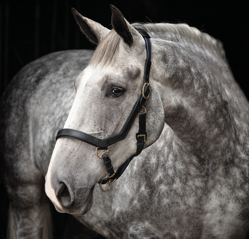 Horseware Rambo Micklem Headcollar - Black, Größe:großes Warmblut (XL) DHAL8D-K000-LH