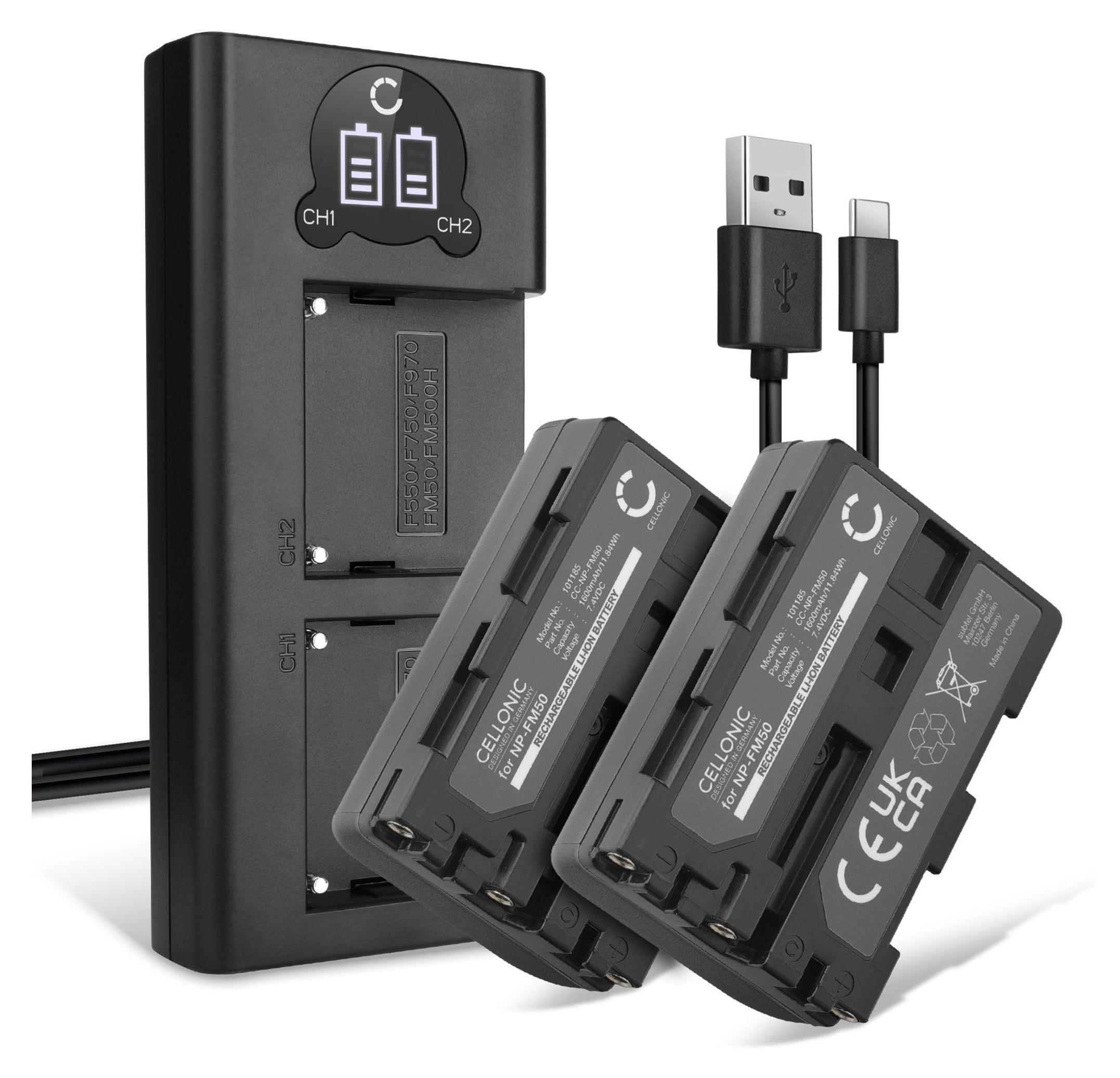 DSTE 2x D-Li50 Li-ion Battery Compatible with Pentax K10D