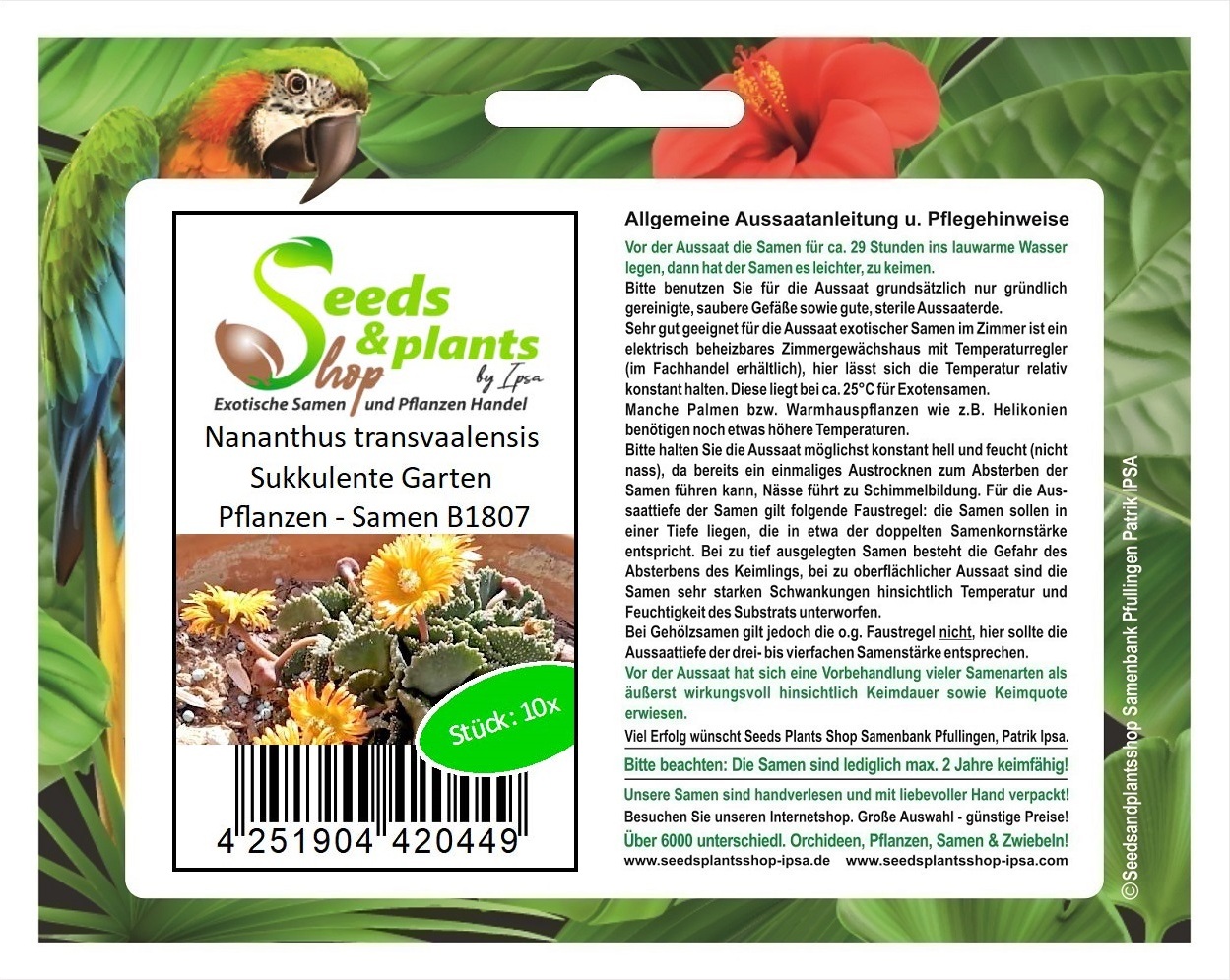Seeds & Plants Shop by Ipsa 10x Nananthus transvaalensis Sukkulente Garten Pflanzen - Samen B1807
