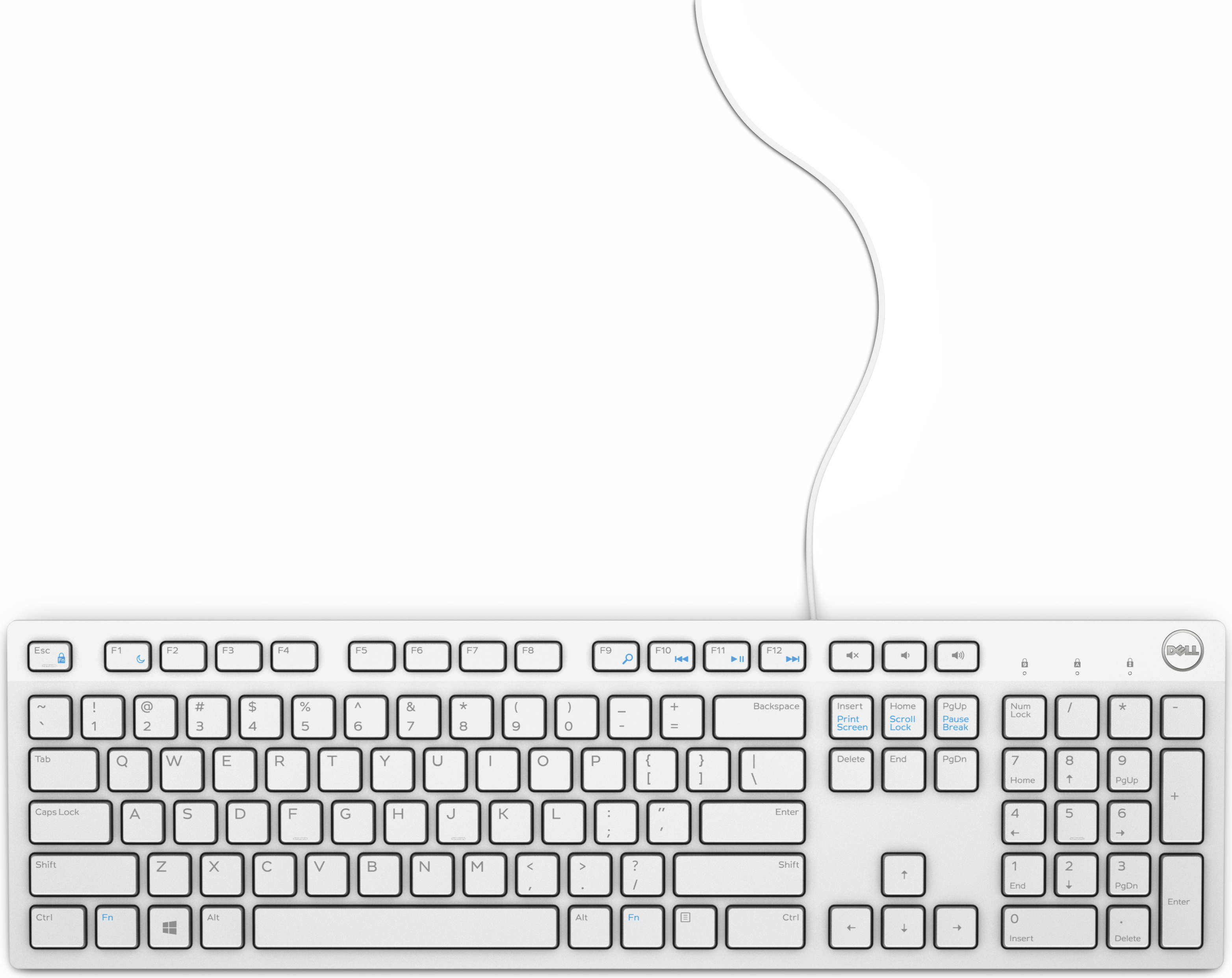 Dell MULTIMEDIA KEYBOARD KB216 Multimedia-Tastatur, QWERTZ, weiß (580-ADHW)