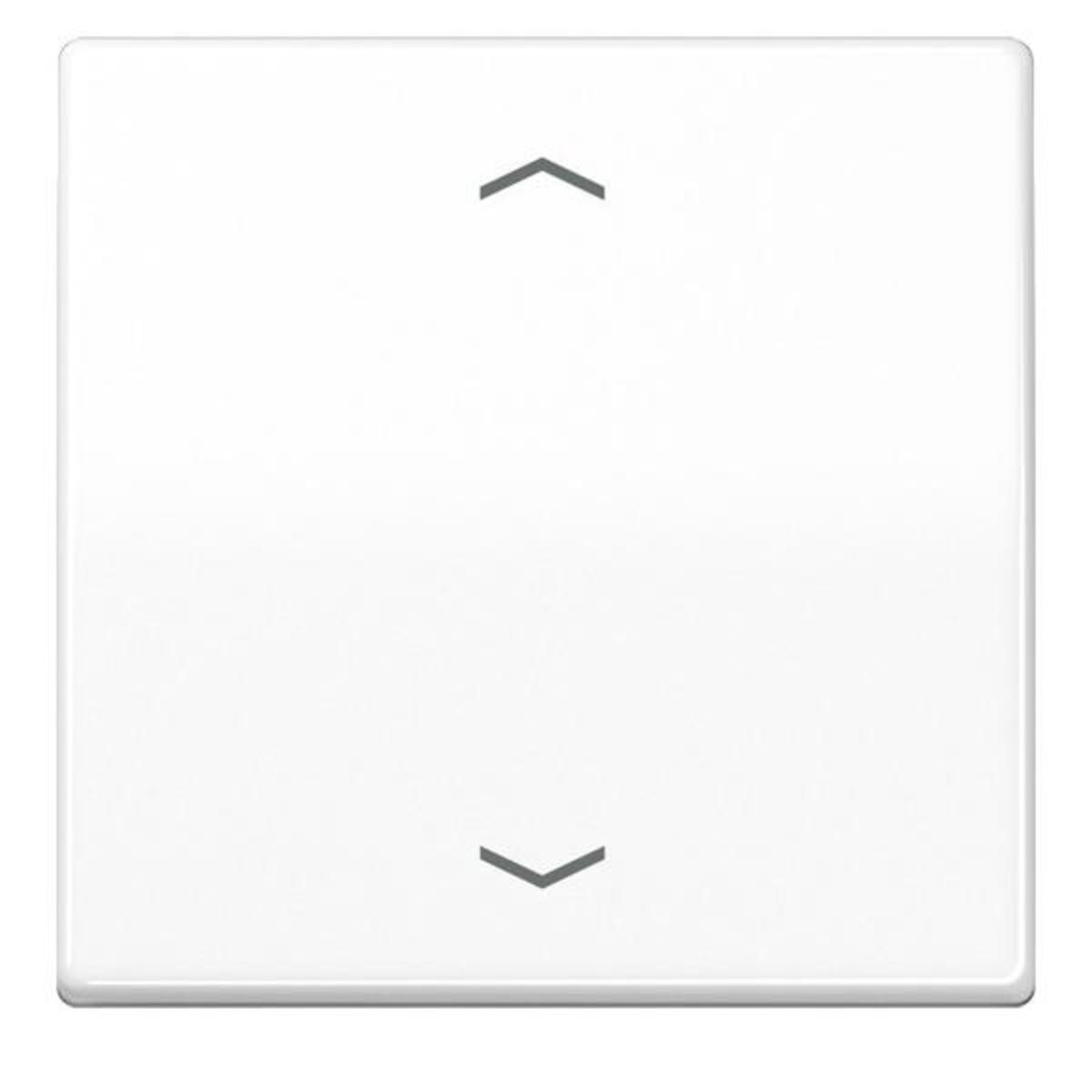Jung Wippe Symbole aws AS 591 P WW AS591PWW