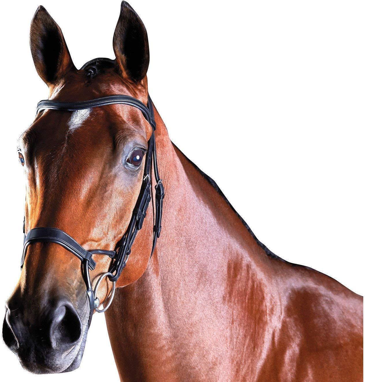 Bride De Tête Bling Cristal Pour Cheval Collegiate ComFiTec - Modèle Noir Neuf
