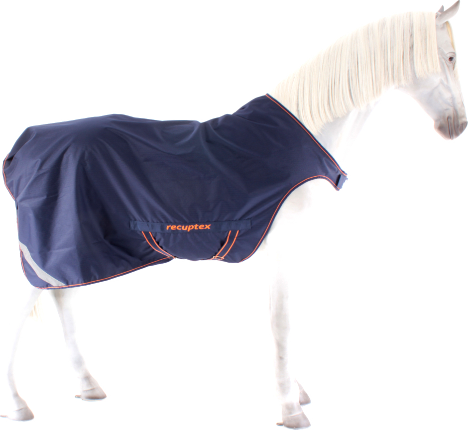 BUSSE Fliegendecke Für Pferde - Schutz Vor Insekten Beim Training