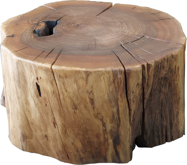 Natur24 Couchtisch Nussbaumblock 30x60 cm Nuss Geölt Unikat NB30-60