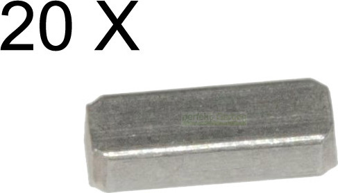 perfektGarten 20X Schwungradkeil Stift für Briggs & Stratton B&S 222698S 222698 61760 555054 699B X 20