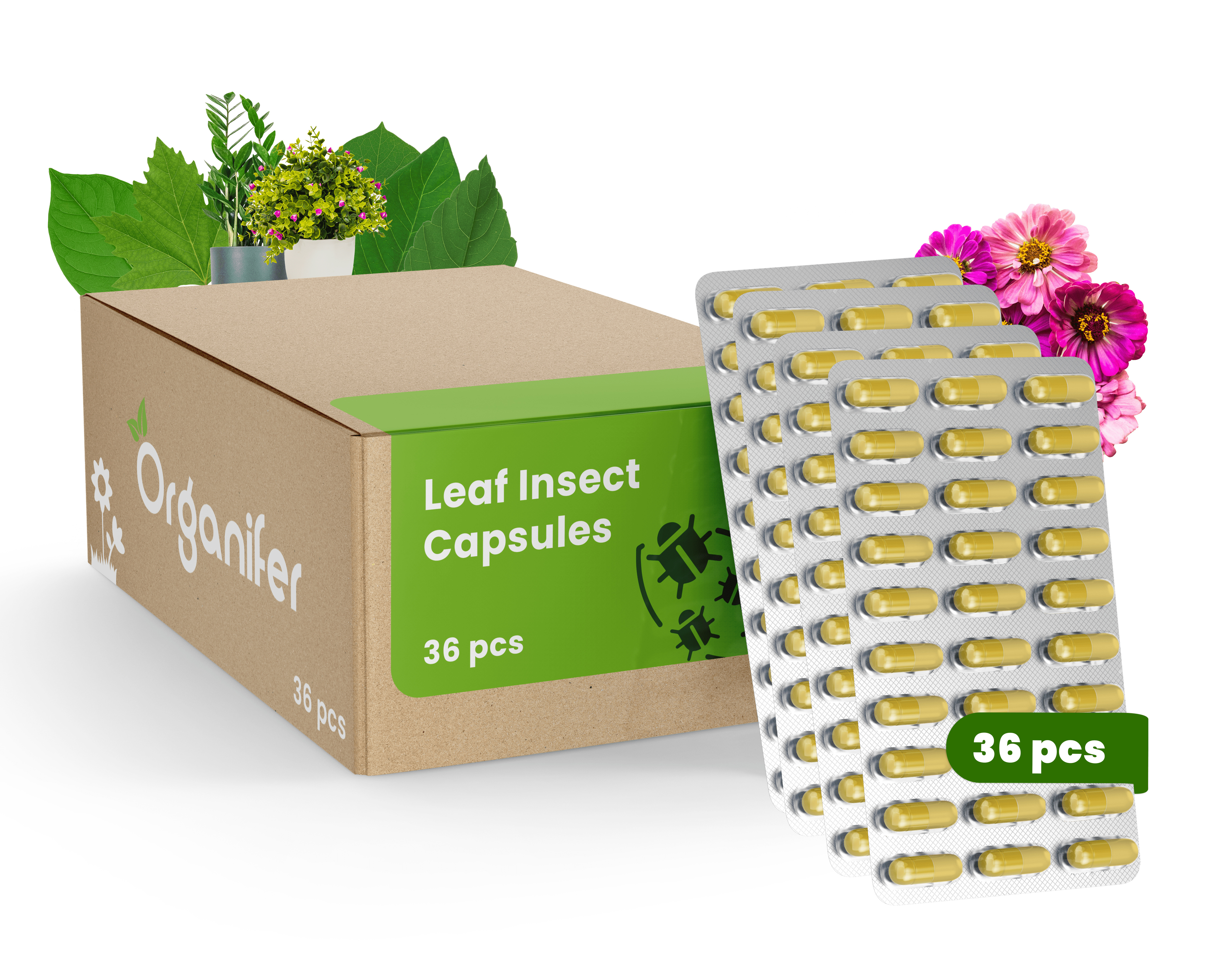 Leaf Insects Blattinsekten Kapseln – 36 Stück- Organifer 34449