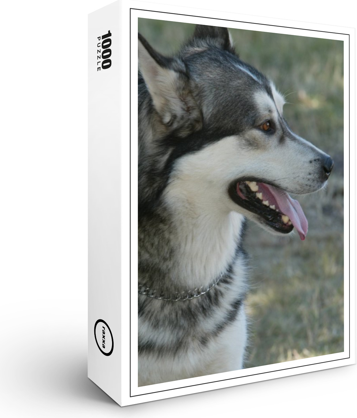 raxxa Premium-Puzzle "Haushusky", 1000 Teile 1-14270-6331-264