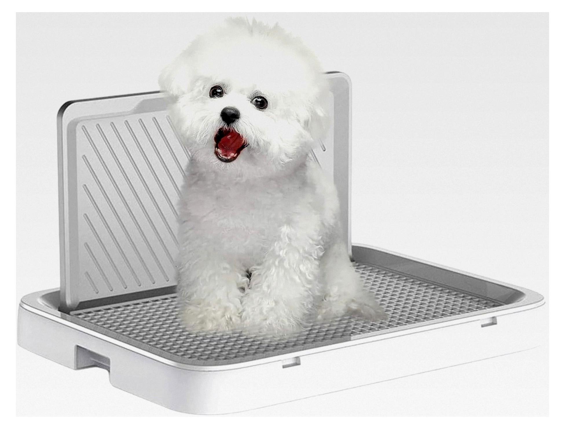 Markenlos Hundetoilette für Stubenreinheit | Auslaufsichere und spritzsichere Mesh-Auffangschale für Welpen | Für Zuhause, Wohnheim, Wohnung, Schlafzimmer