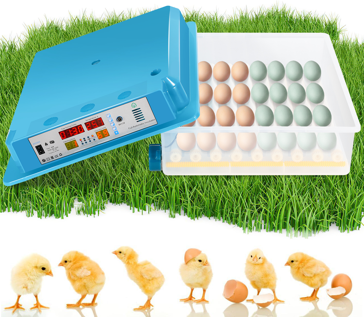 Izrielar 64 Egg Fully Automatic Incubator – Egg Turner, Precise Temperature & Humidity Control, LED Candling Light RL-HG9813-1-YN
