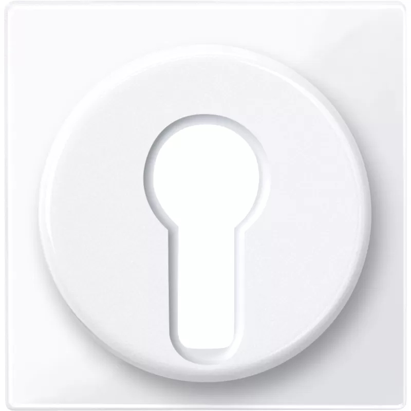 Merten Zentralplatte aws/gl 319525