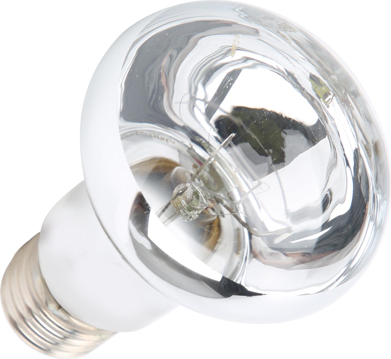 Cocosity E27 Reptilienbirne Heißes Licht UVA Wärmelampe Birne für Reptilien und Amphibien 220V?230V