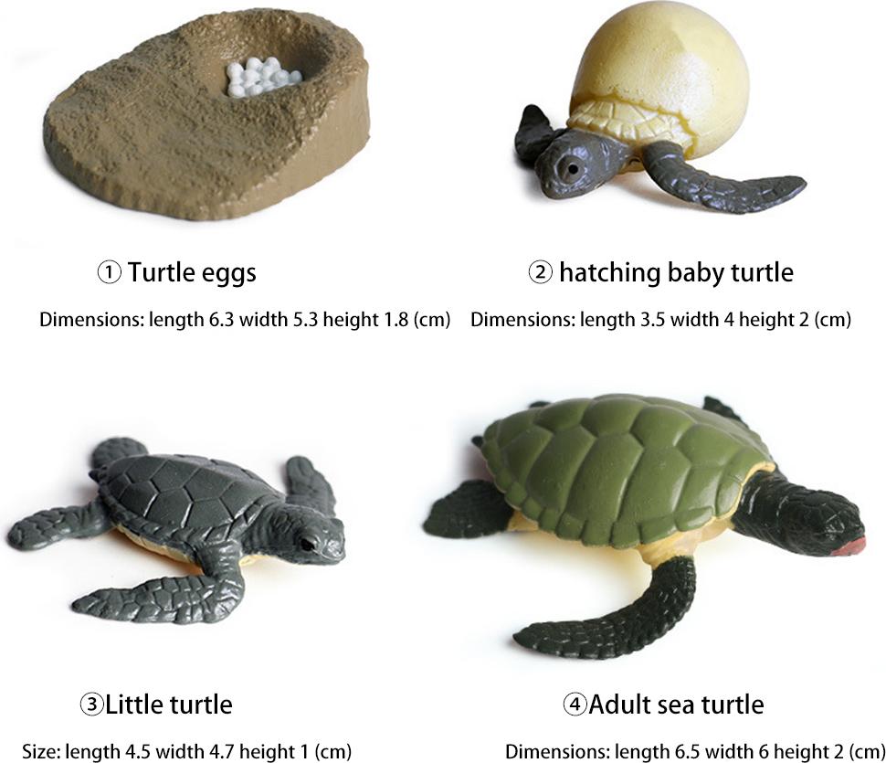 Gistuch Simulation Tier Modell Kinder Mini Hahn Ameise Frosch Schildkröte Moskito Wachstumszyklus PVC Action-figuren Puppe Spielzeug für