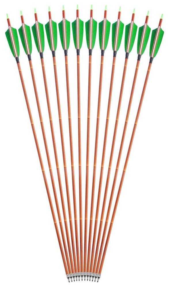 StarTech 12er Set Carbonpfeile - Bogensport Pfeile - Spine 500 - Gemischter Carbon Schaft 80,3 cm - Stahl Schraubspitze 100 Grain - 4" Naturfeder ca. 10 cm - Grün