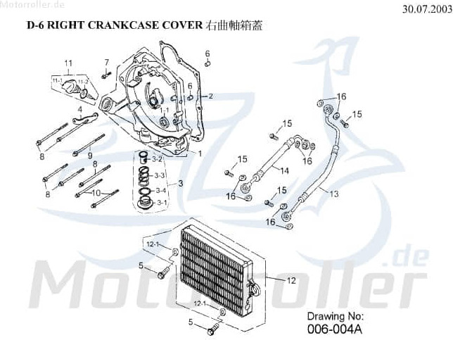 AEON Ölmessstab Ölmeßstab Ölpeilstab Ölstab Quad 180ccm 4Takt Motorroller.de Öl-Peilstab Öl-Messstab Ölmessung Öl-Stab 180ccm-4Takt ATV Overland 180 K1565A-119-000