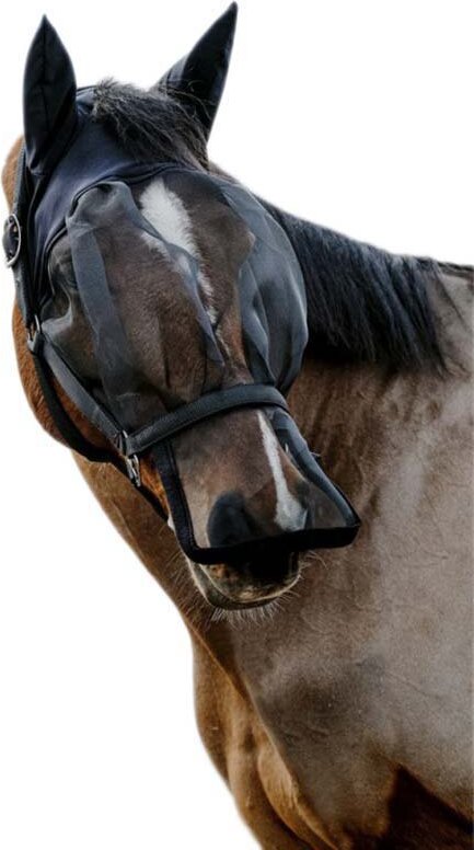 EQUITHÈME Equitheme Mask Anti Uv Halfter Full Full 510061003