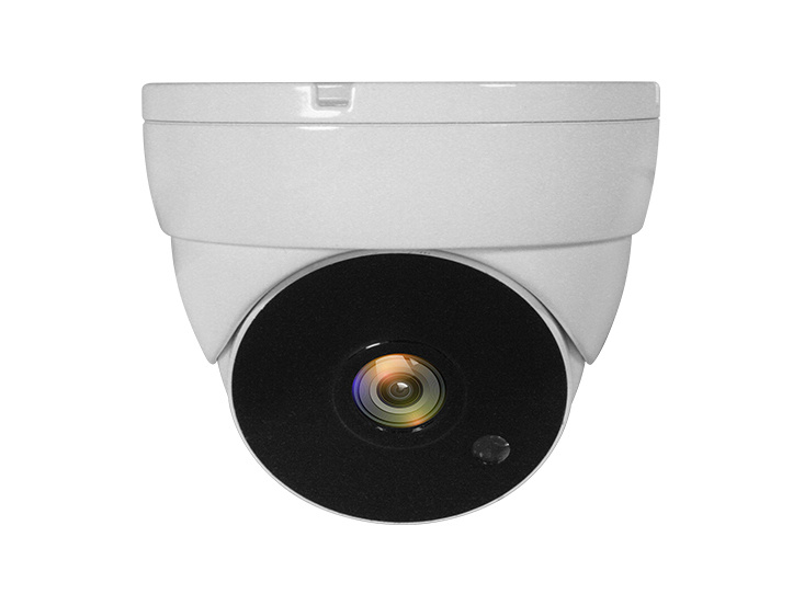 LevelOne CCTV ACS-5302 Dome In 2MP IR