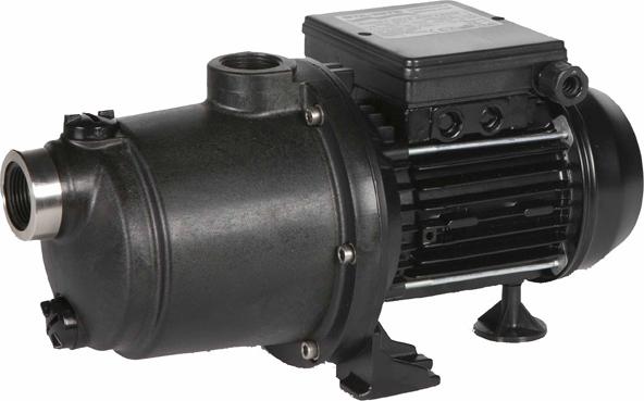 1cv mono booster Sta rite BOOST1M