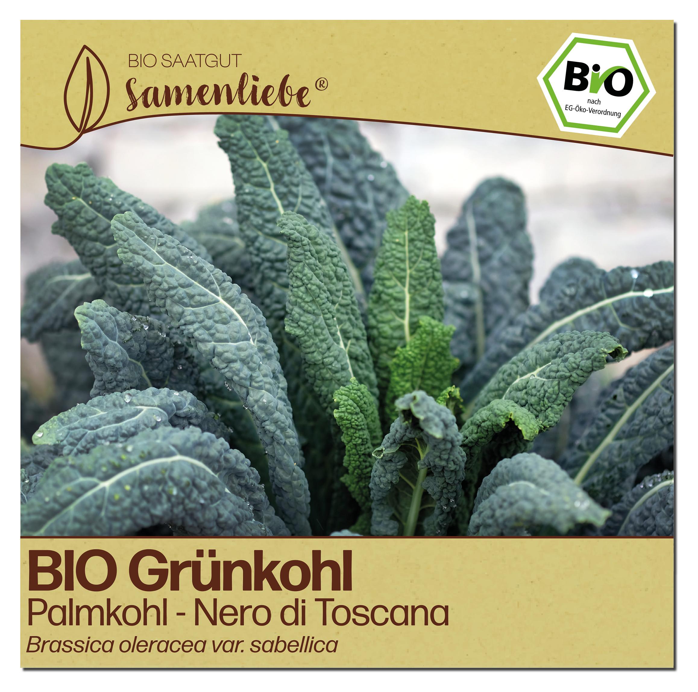 Samenliebe BIO Grnkohl Samen Nero Di Toscana  Winterharter Italienischer  Palmkohl Samenfest