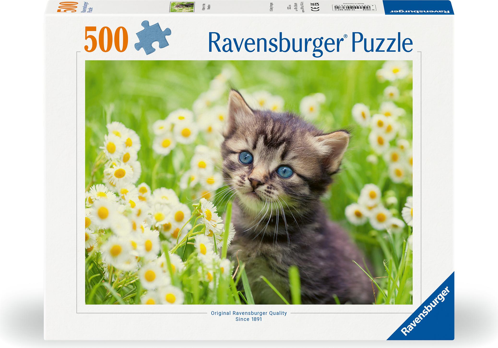 Ravensburger Spielverlag Kätzchen in der Wiese Ravensburger 12000367