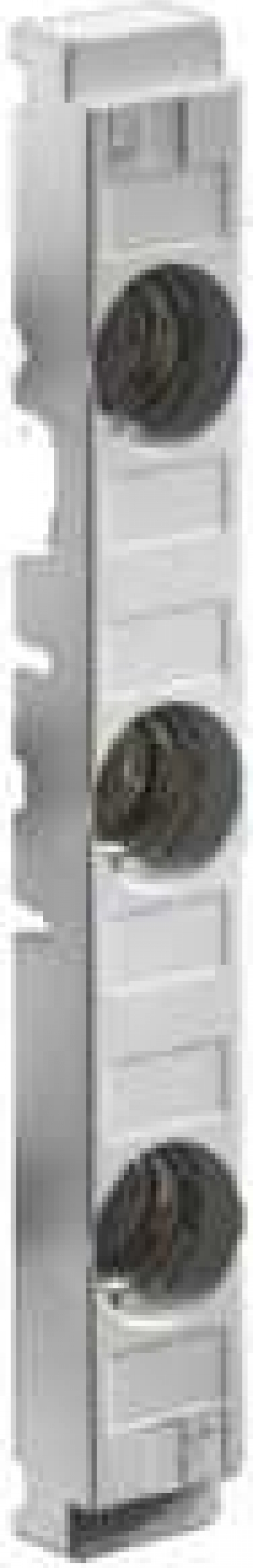 Rittal Berührungsschutzabdeckung f Reitersicherungse. 10 STK (Speditionsversand) 3418020