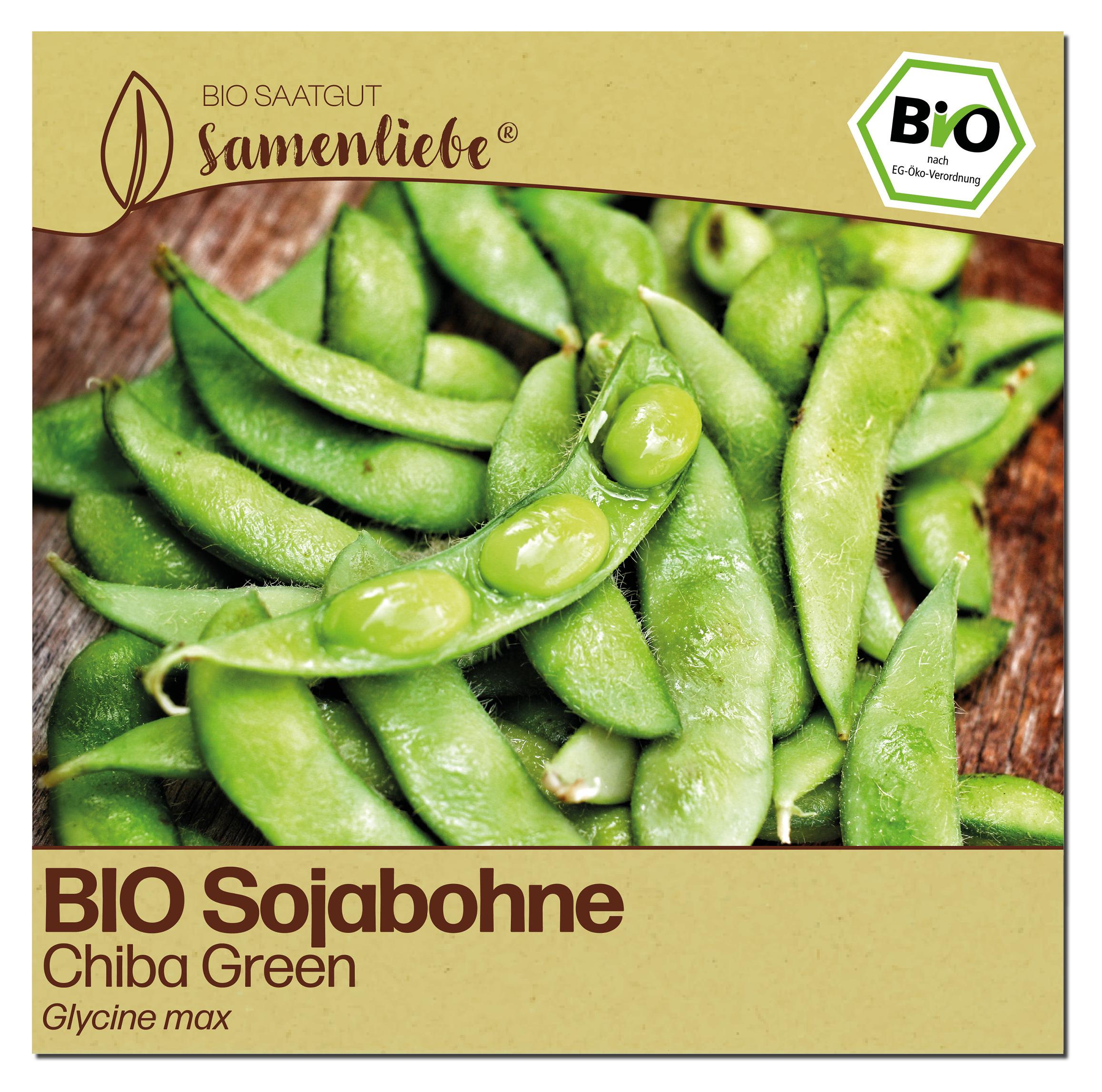 samen maier bio saatgut Hochbeet Set Beet - Box Sisters