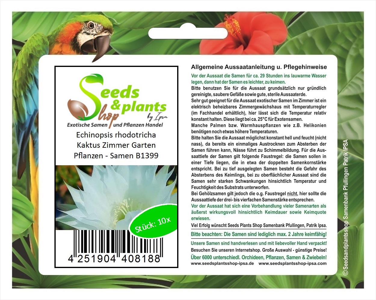 20x Echinopsis rhodotricha Kaktus Zimmer Garten Pflanzen   Samen B20